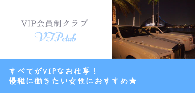 VIP����������